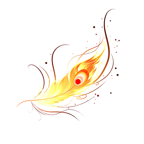 Plume de phénix